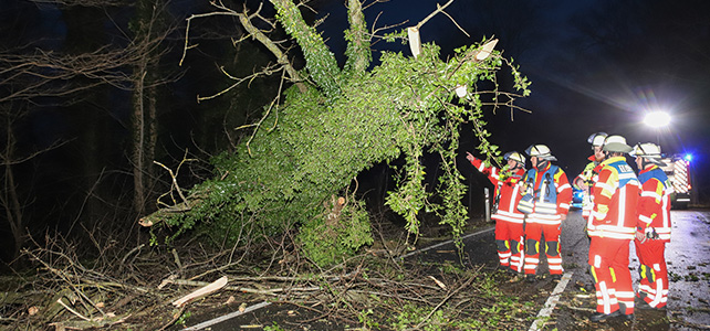 Baum stürzt auf PKW und Dachstuhlbrand