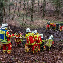 Feuerwehr rettet Pferde aus Waldstück Feuerwehr rettet Pferde aus Waldstück