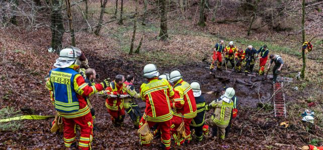 Feuerwehr rettet Pferde aus Waldstück